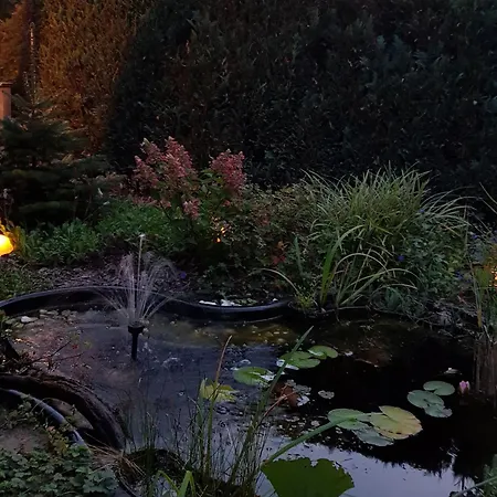 Lägenhet Wolf Nietwerder