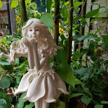 דירה Wolf Nietwerder